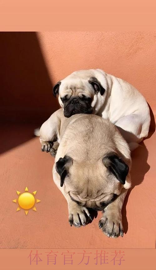 略伦特:和皇马的欧冠消耗太大 导致今天体力不支